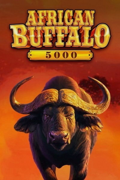 African Buffalo 5000 — Betrepublic Casino slot